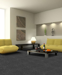 Pebbled Livingroom Carpet